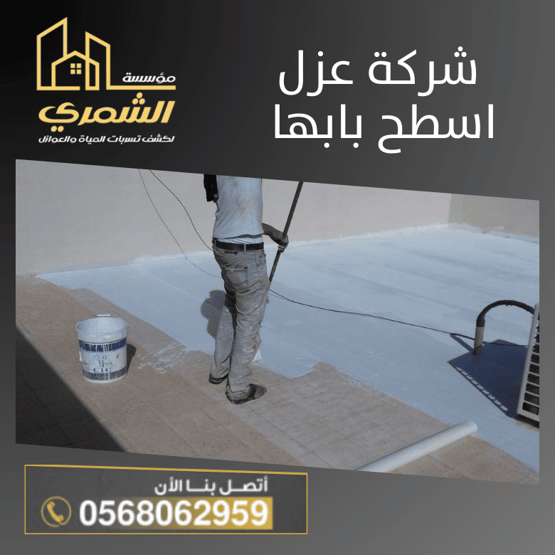 شركة عزل اسطح بابها